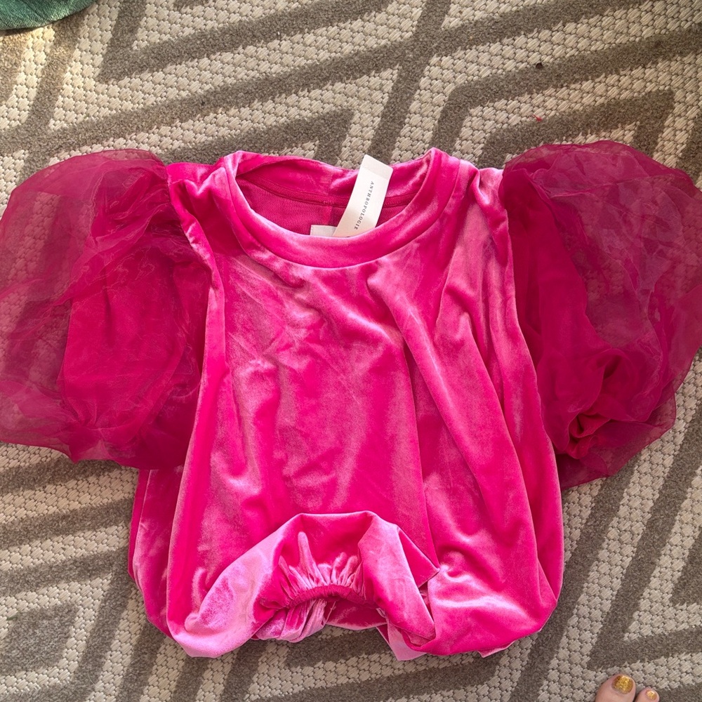 Anthropologie Pink Velvet Top with Sheer Sleeves